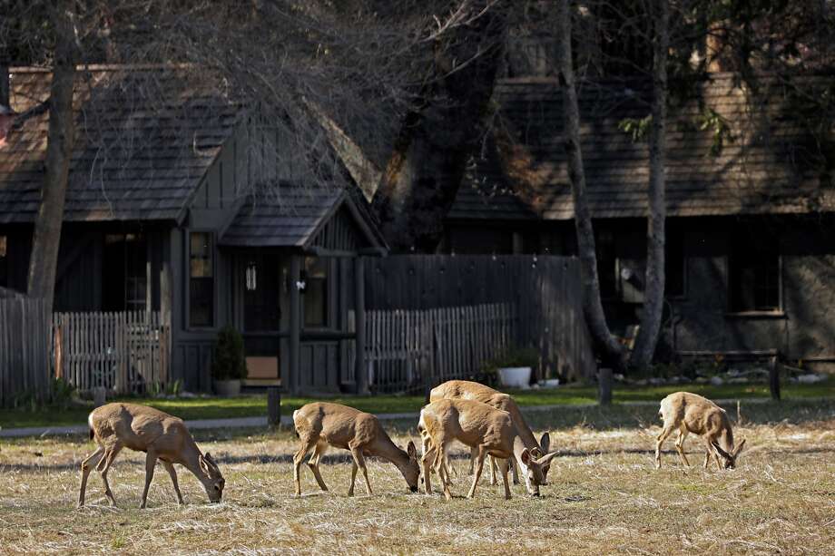Some Yosemite Amenities Reportedly Won T Reopen For 2020 Sfgate