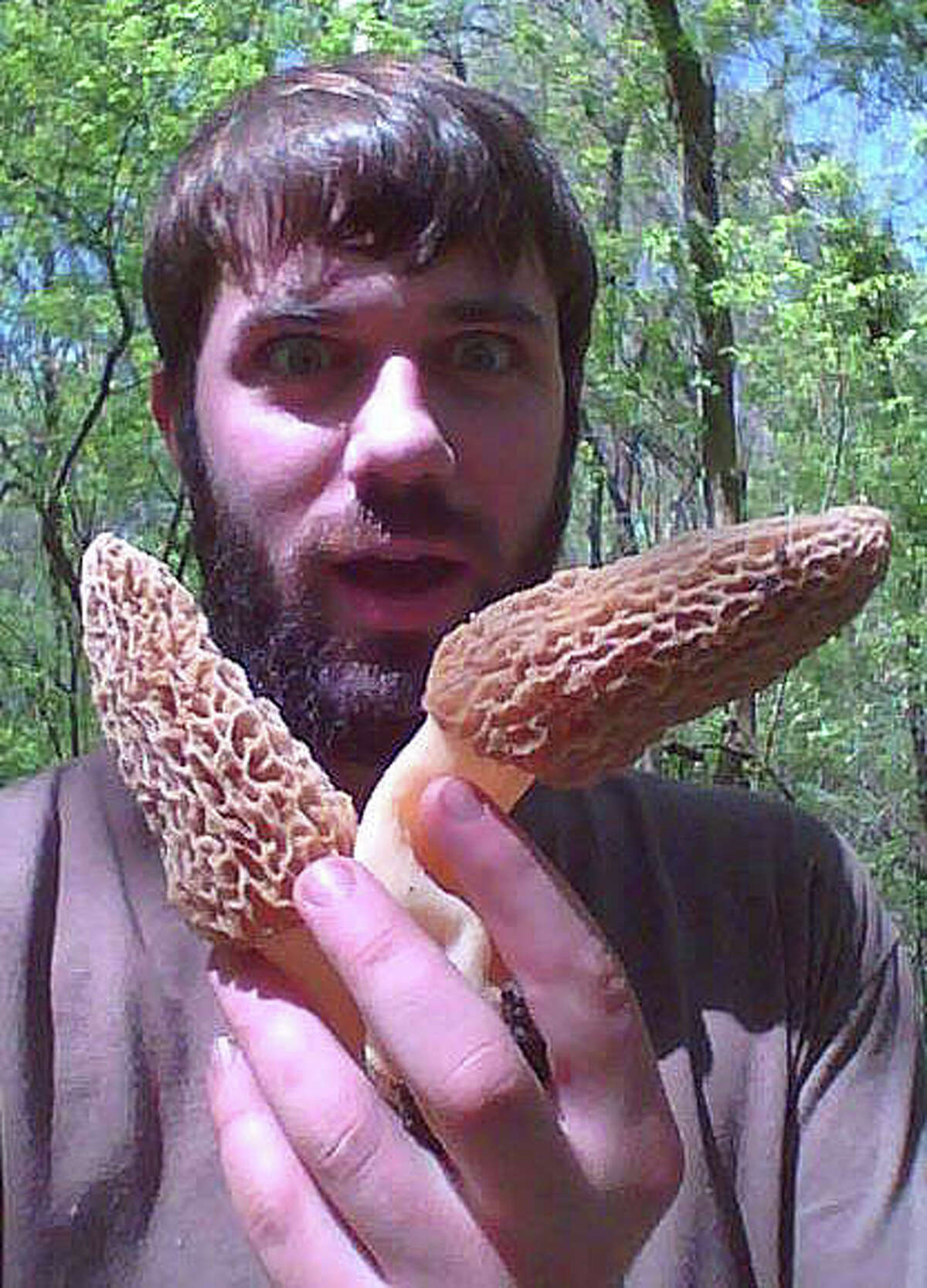 ‘Shroom love The lure of the Morel Mushroom hunt