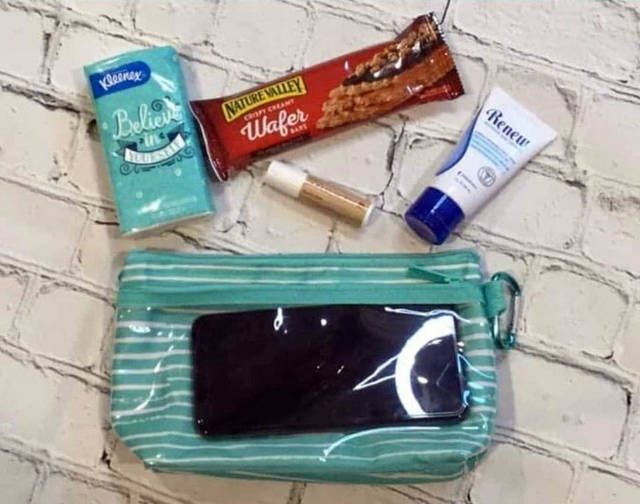 thirty one clear clip pouch