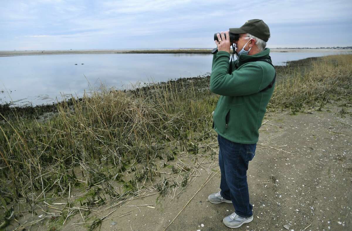 Birder Frank Mantlik of Stratford looks for birds on Milford Point in Milford April 23, 2020. Mantlik recently spotted his 400th bird for his Connecticut life list, a Townsend’s warbler normally seen in western states like Colorado.