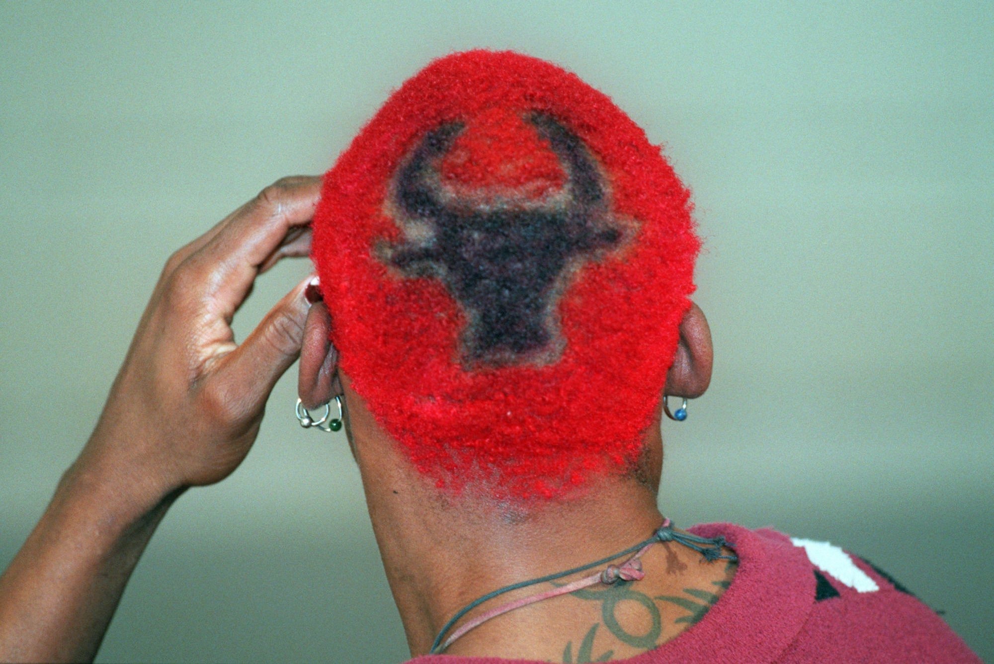 DENNIS RODMAN HAIR LEXICON – colleen