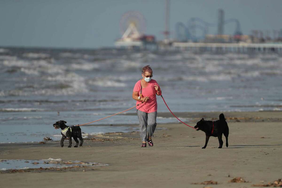 A Galveston resident wears a mask as she walks her dogs after the city of Galveston partially reopen public beaches after closing them for nearly a month due to the novel coronavirus outbreak Monday, April 27, 2020, in Galveston.