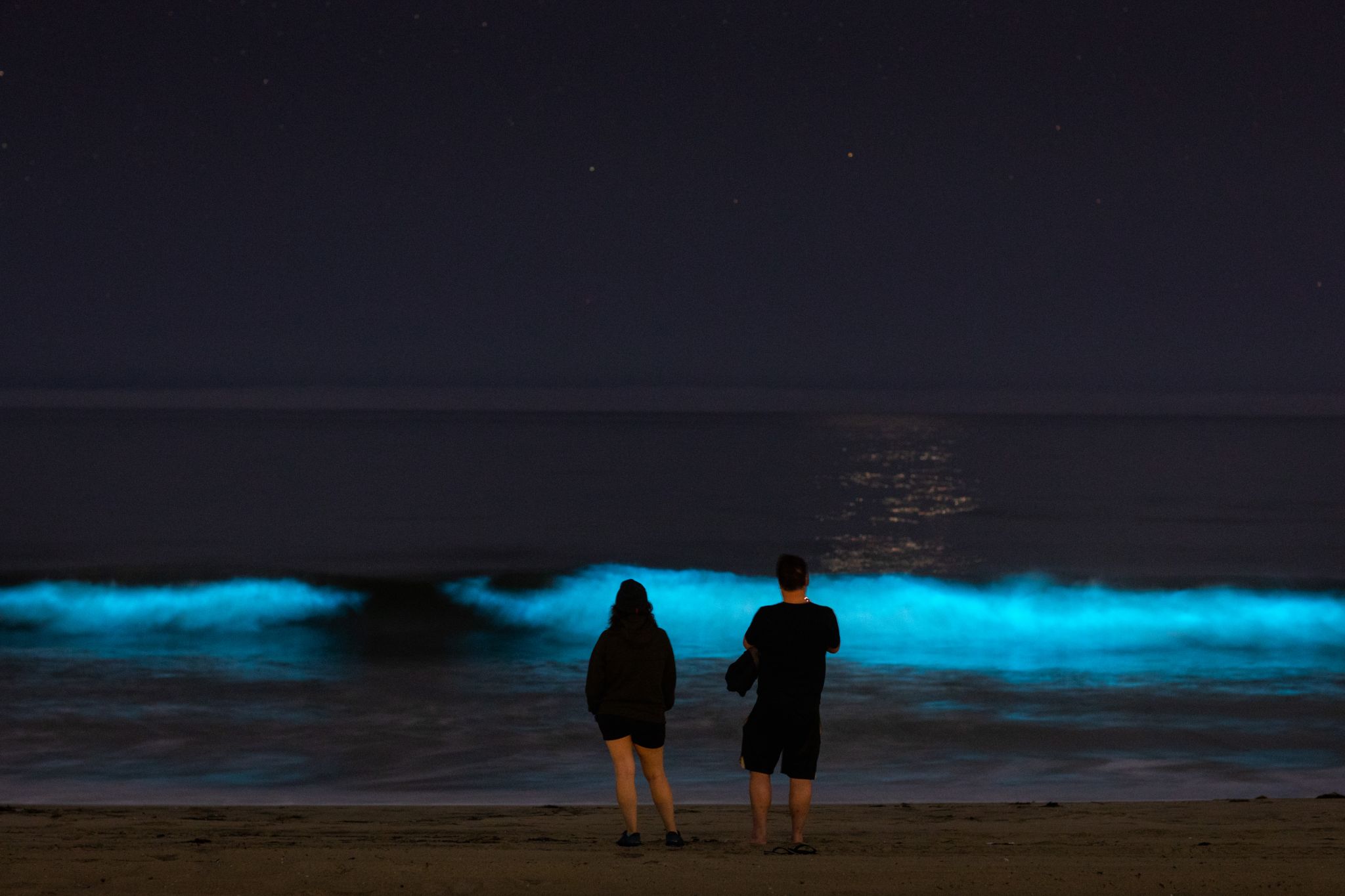Photos Southern California waters are glowing amid major