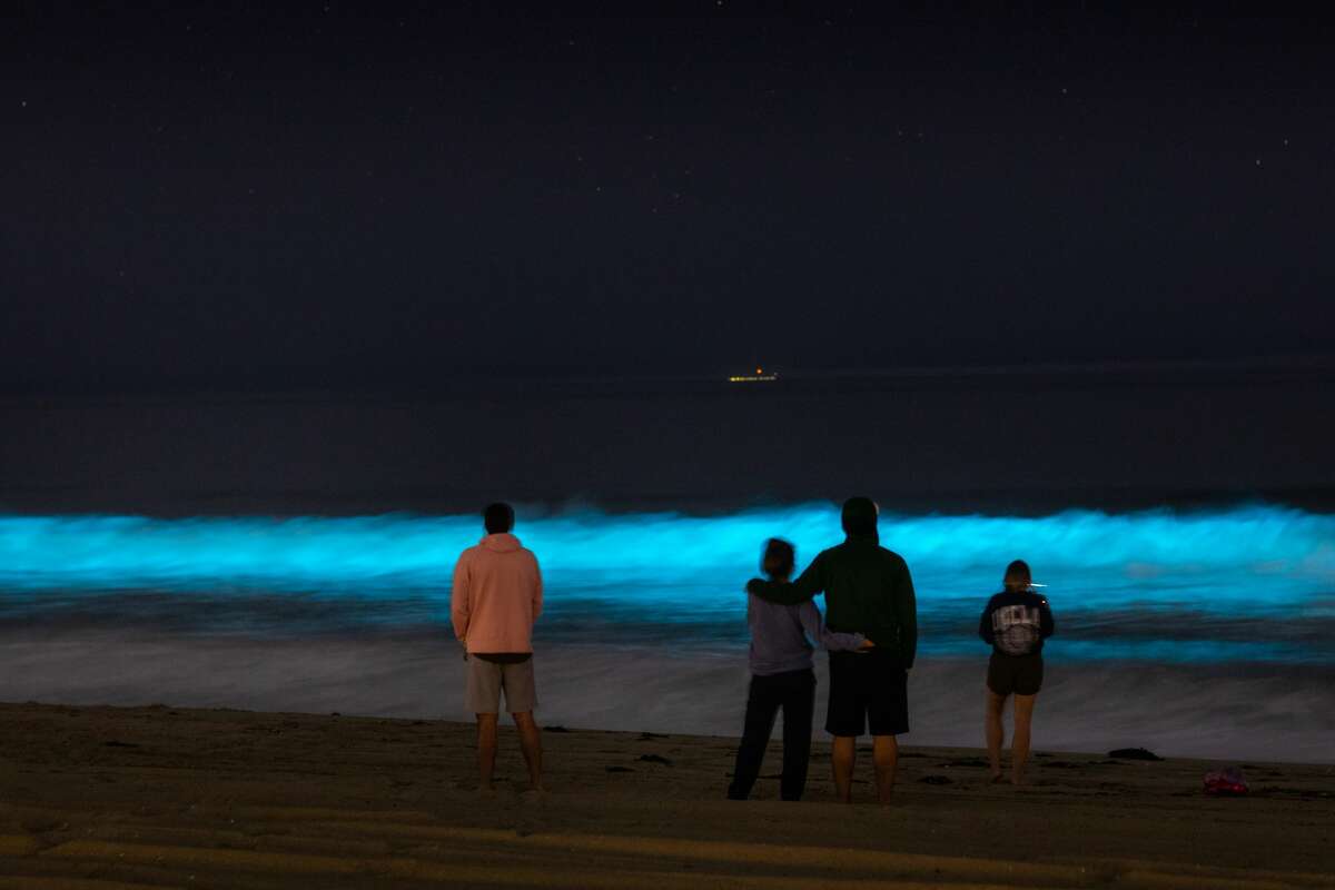 Photos Southern California waters are glowing amid major