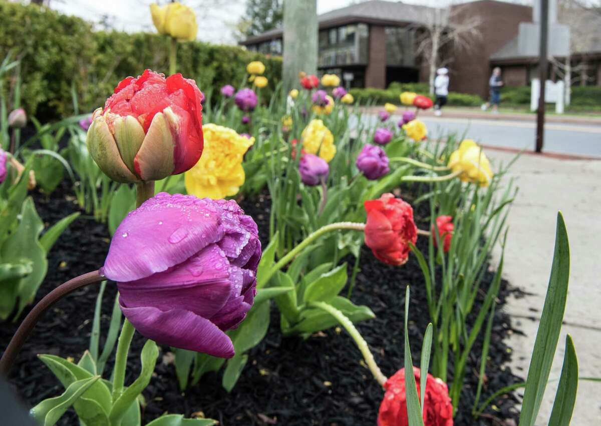 Wilton Click here for info about restaurants and shops