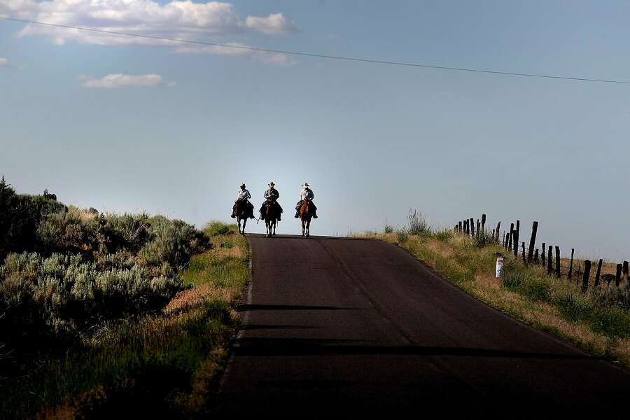 Members of the McGarva family ride down a country road near their home in Likely (Modoc County) to move some cattle to another pasture.