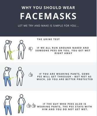 Still unclear on the value of masks? Let the pee meme explain
