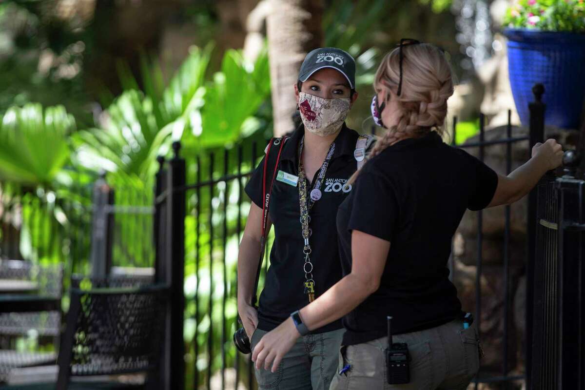 Employees confer during the soft open of a drive-thru version of the San Antonio Zoo. Visitors will be able to drive along the pathway usually filled with pedestrians.