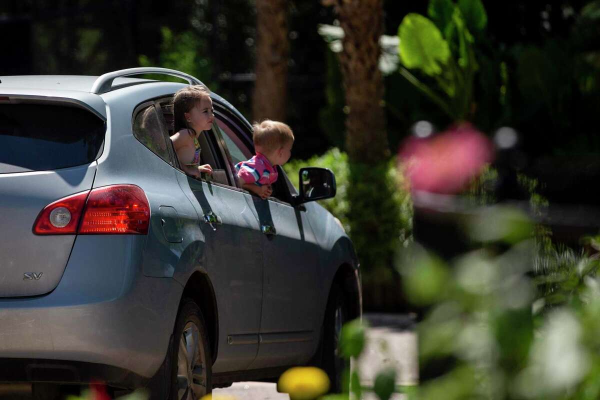 Children lean out open windows of their car to look at animals during a soft opening of the drive-thru S.A. Zoo.