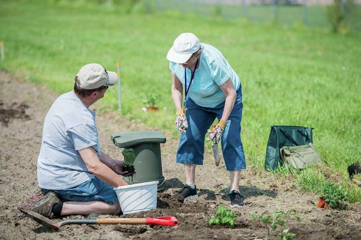 The community garden at MidMichigan Health Park - Bay is now accepting applications for garden plots for this summer. (Photo provided)