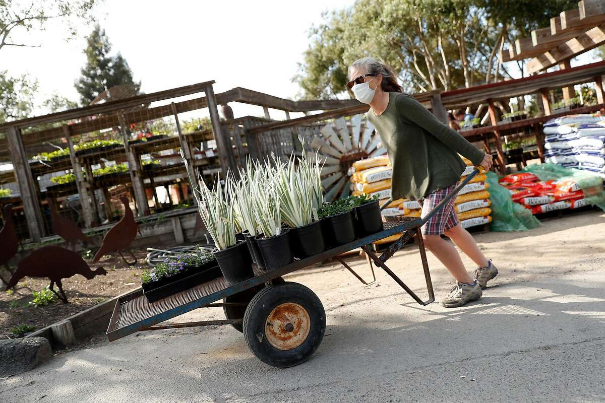 Co-owner Fionuala Campion moves a cart of inventory at Cottage Gardens of Petaluma in Petaluma, Calif., on Thursday, April 30, 2020.