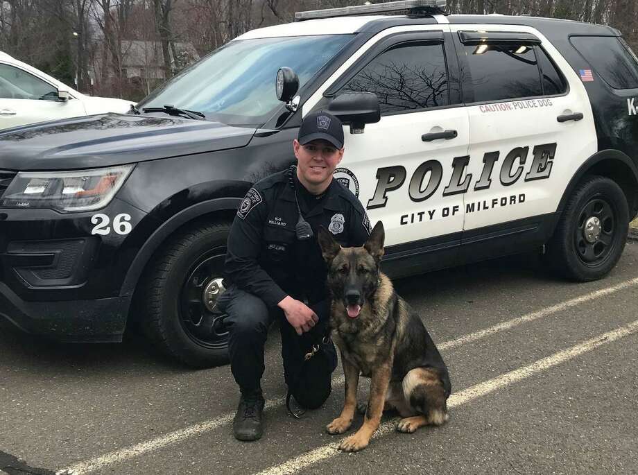 police k9