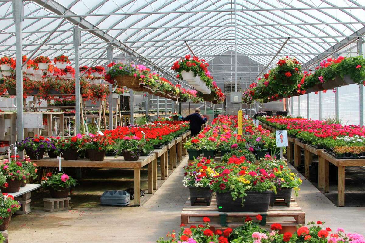 Crystal Gardens opens