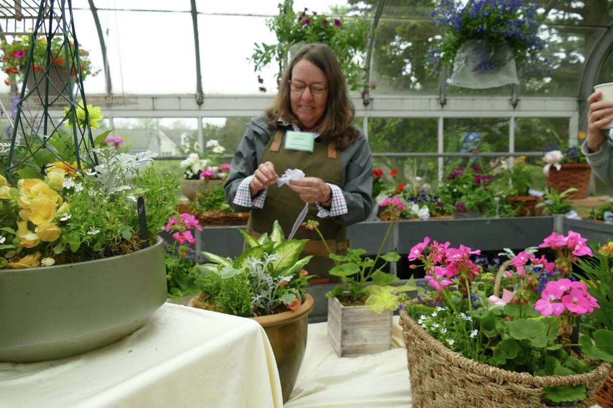 Cathy Prior of the Caudatowa Garden Club arranges plants inside the Ballard Greenhouse in Ridgefield at last year's plant sale.