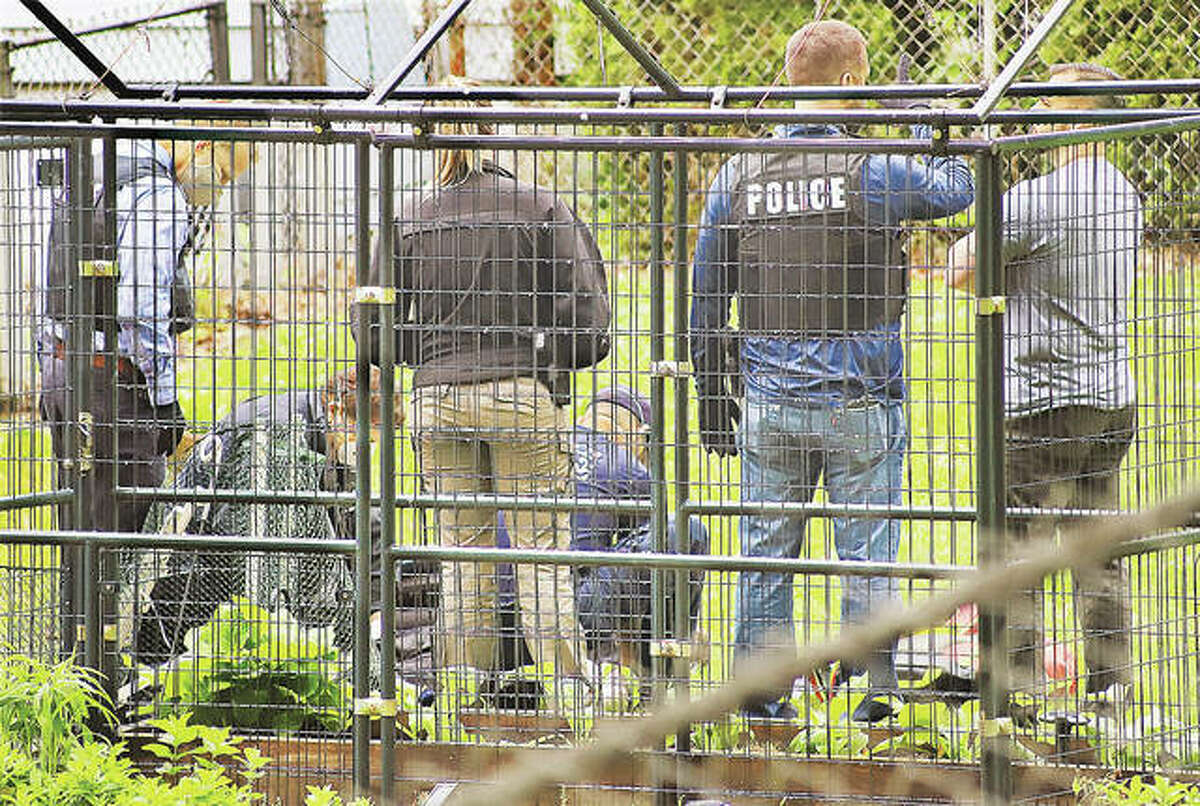 Alton Fire Department paramedics, kneeling, treat a man with a reported gunshot wound Tuesday in the back yard of a house in the 200 block of Alben Street in Alton as police officers watch. Police said the man who was shot was allegedly a suspect in a home invasion in the 600 block of Porter Street, nearby. The man was airlifted to a St. Louis hospital for treatment. Dozens of officers responded to the scene and the house where the home invasion reportedly took place was searched by Alton Police and a state police canine unit.