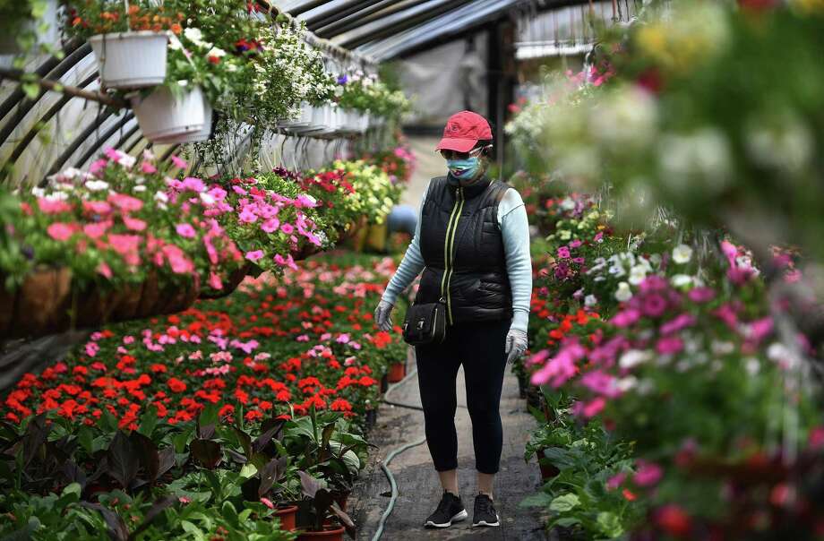 Flower Delivery Bridgeport Ct