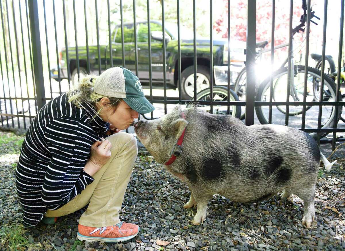 Greenwich Time "Mother Lode" columnist Claire Tisne Haft kisses her 9-month-old pig Pearl in her backyard at her home in Greenwich, Conn. Tuesday, May 5, 2020.