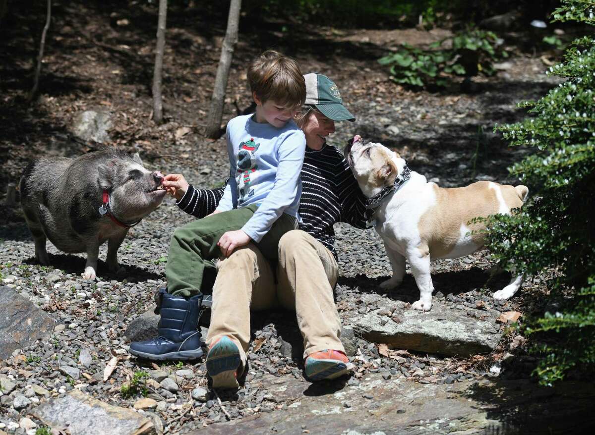 Greenwich Time "Mother Lode" columnist Claire Tisne Haft and her son, George, 9, feed their dog, Beverly, 4, and pig, Pearl, 9 months, at their home in Greenwich, Conn. Tuesday, May 5, 2020.