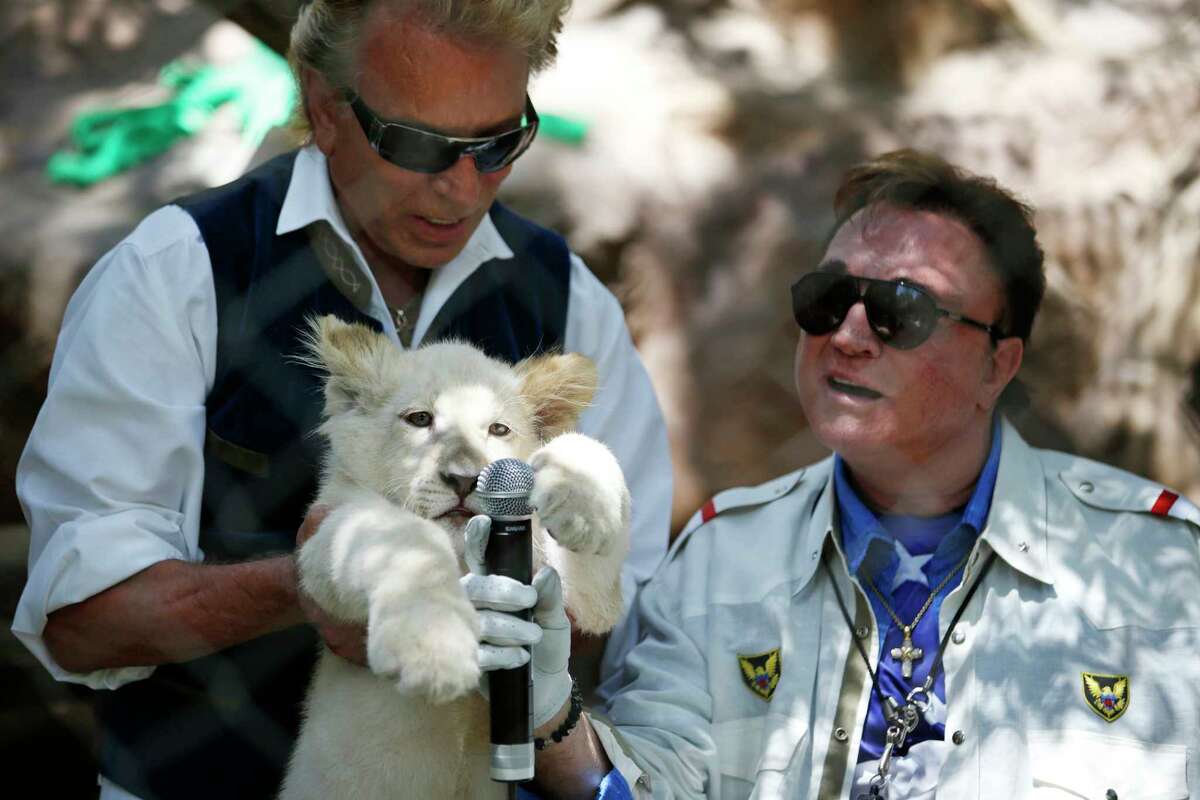 FILE - In this Thursday, July 17, 2014, file photo, Siegfried Fischbacher, left, holds up a white lion cub as Roy Horn holds up a microphone during an event to welcome three white lion cubs to Siegfried & Roy's Secret Garden and Dolphin Habitat, in Las Vegas. Horn, one half of the longtime Las Vegas illusionist duo Siegfried & Roy, died of complications from the coronavirus, Friday, May 8, 2020. He was 75. (AP Photo/John Locher, File)