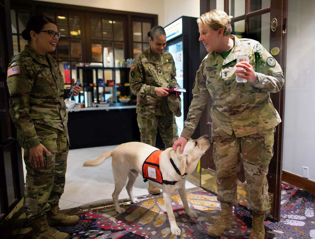 Maj. Gen. Tracy Norris, adjutant general of the Texas National Guard, is greeted by a service dog on Friday at the Mobile Testing Coordination Center in Austin. The guard has soldiers and airmen supporting coronavirus response missions around the state.