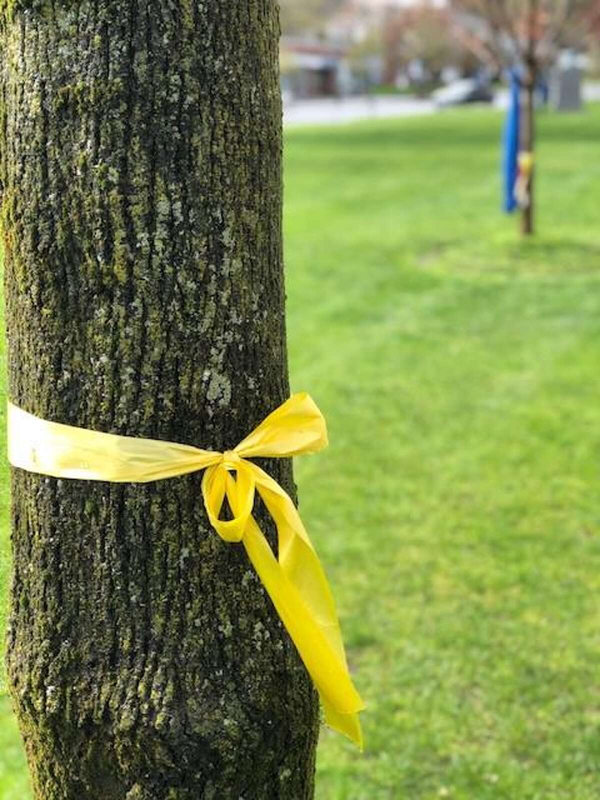The yellow ribbon appears brighter around this tree on the Village Green on a recent rainy afternoon.