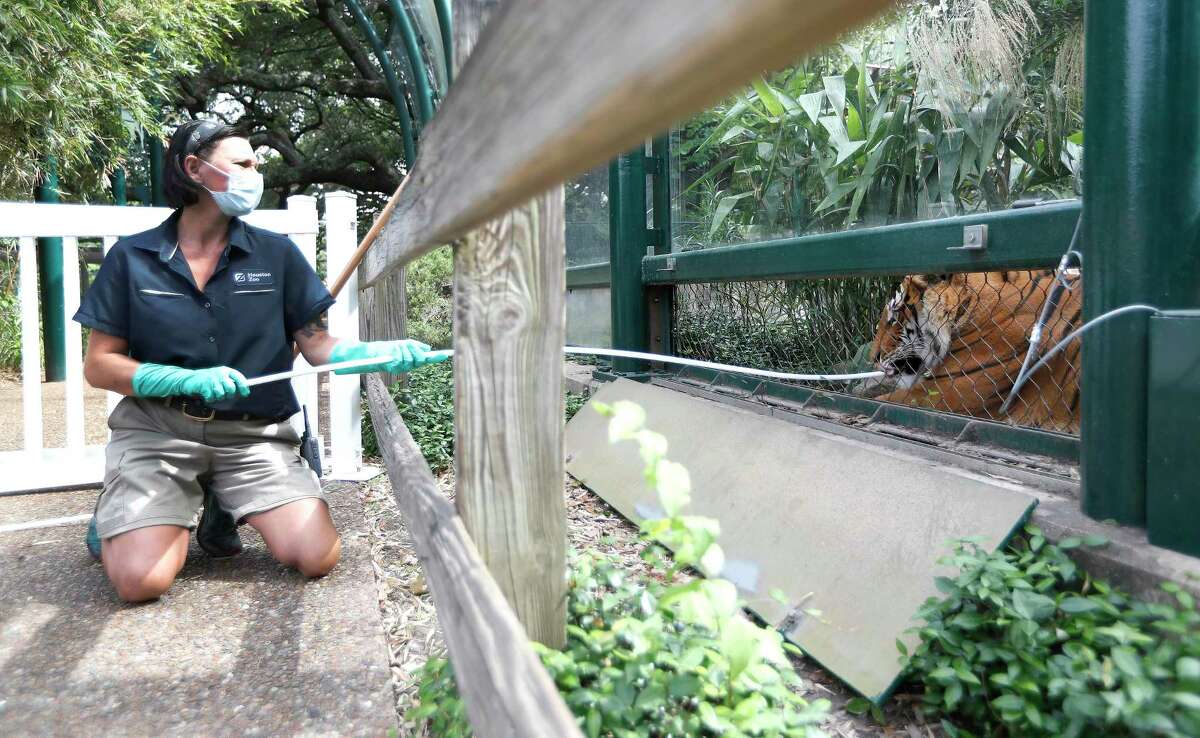 Goat happy hours? Houston Zoo gets creative to keep animals stimulated
