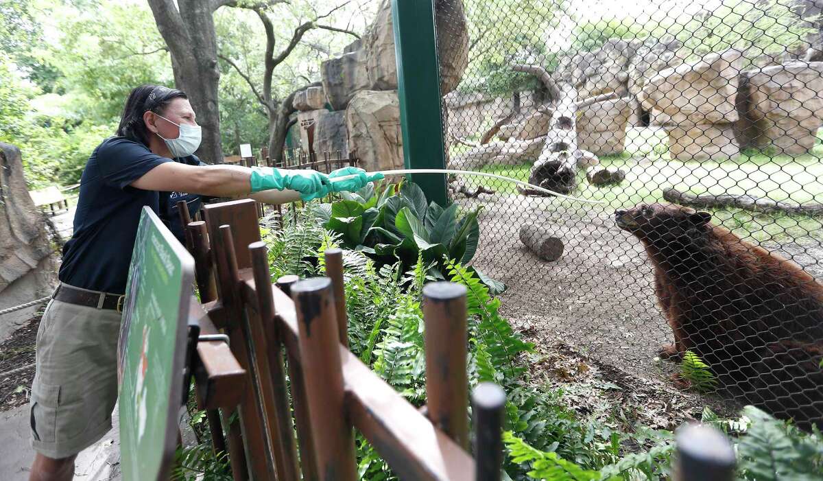 Goat happy hours? Houston Zoo gets creative to keep animals stimulated