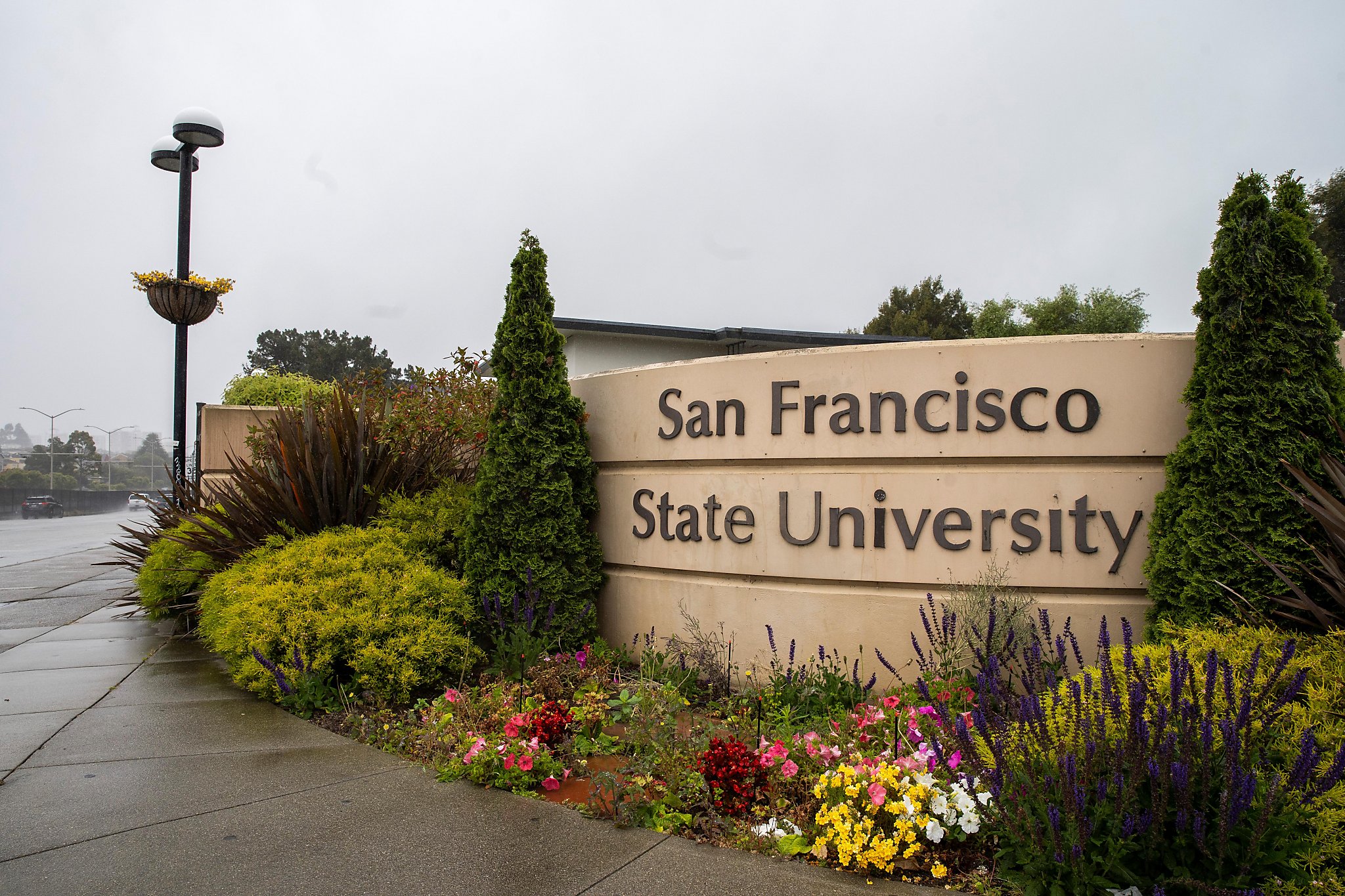 San Francisco State University Summer Programs For High School Students