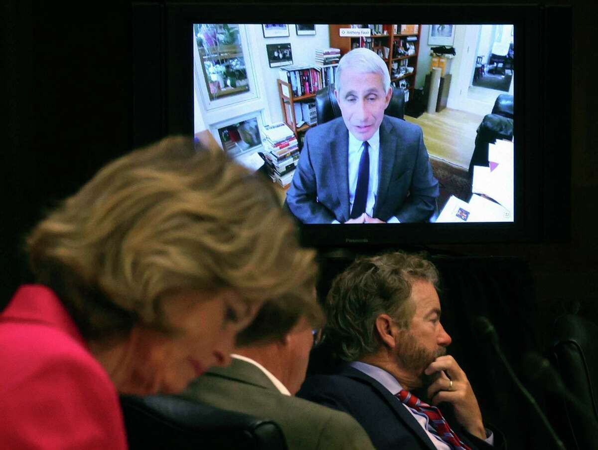 Senators listen to Dr. Anthony Fauci during a virtual Senate committee hearing. Fauci is an important voice in this debate, if only one voice. If it weren’t him up there it would be another epidemiologist.