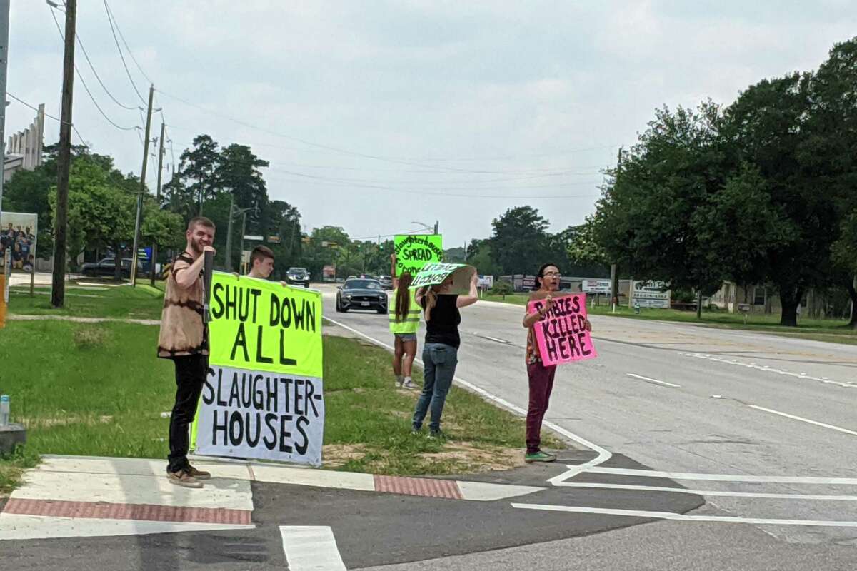 Protesters and counter-protesters stand outside Fisher Ham and Meat Co., 5023 Spring Cypress Road. Protesters were demanding the shutdown of the plant for its treatment of animals and employees during the coronavirus pandemic.