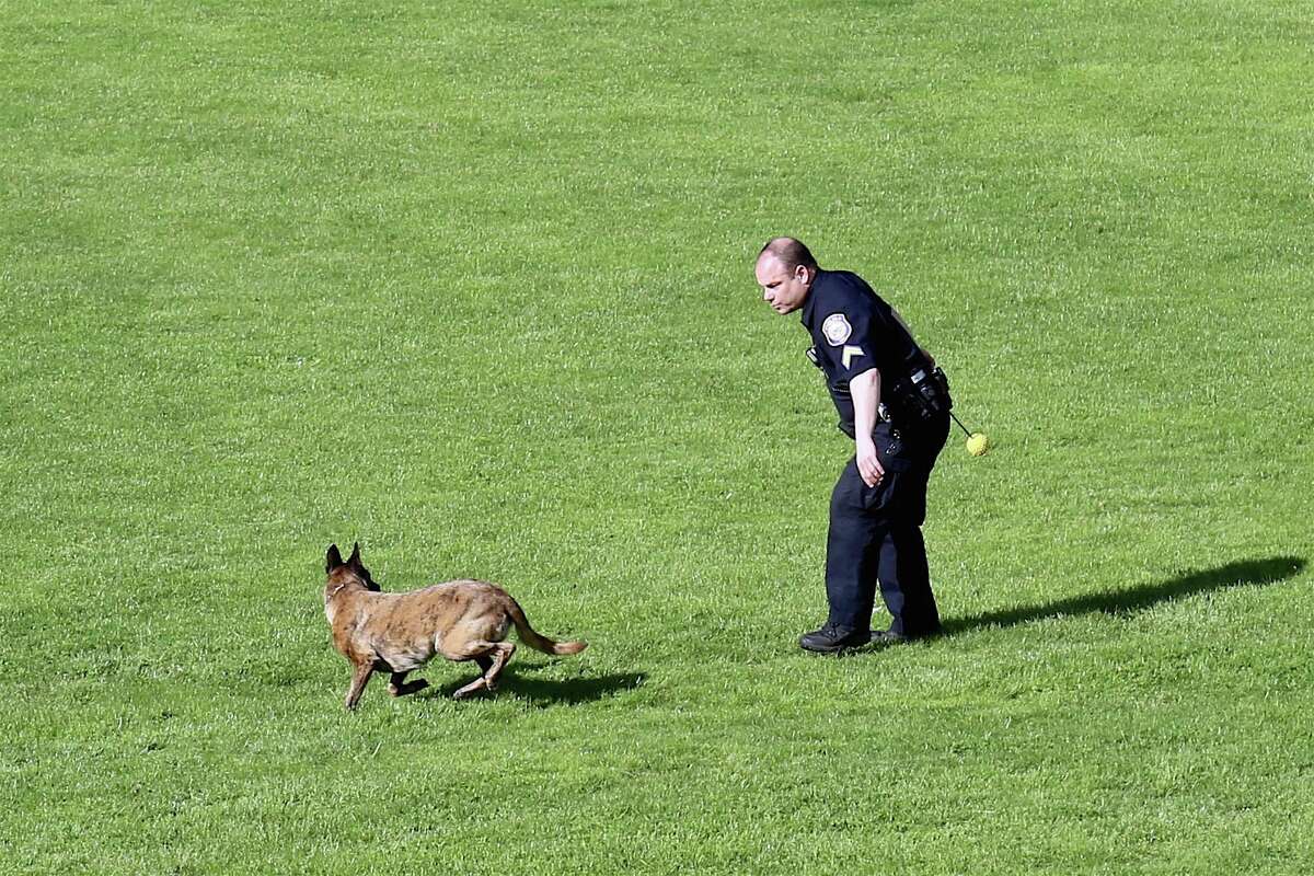 Recreation and work alike continue to take place where they can — on the river and online, with hopefully more options forthcoming. Corporal Kevin Smith of the Westport Police Department gives his dog Onyx, a recruit in training, some serious aerobic work at Greens Farms Elementary School on Saturday, May 16, 2020, in Westport, Conn.
