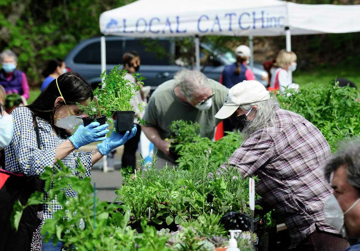 Farmers market reopens in Greenwich — with some new rules