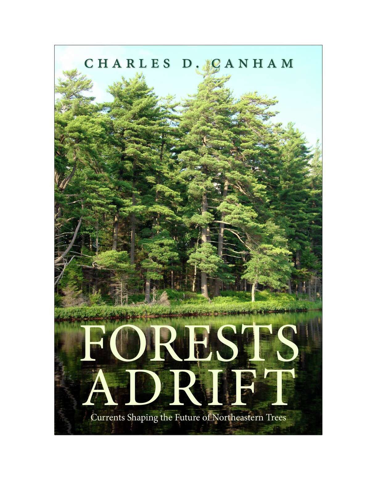 Minor Memorial Library in Roxbury will present a Zoom presentation on northeastern forests May 27.