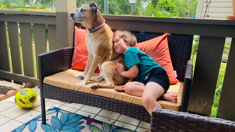 Our dogs are 'overly bonded.' Time to start separating.