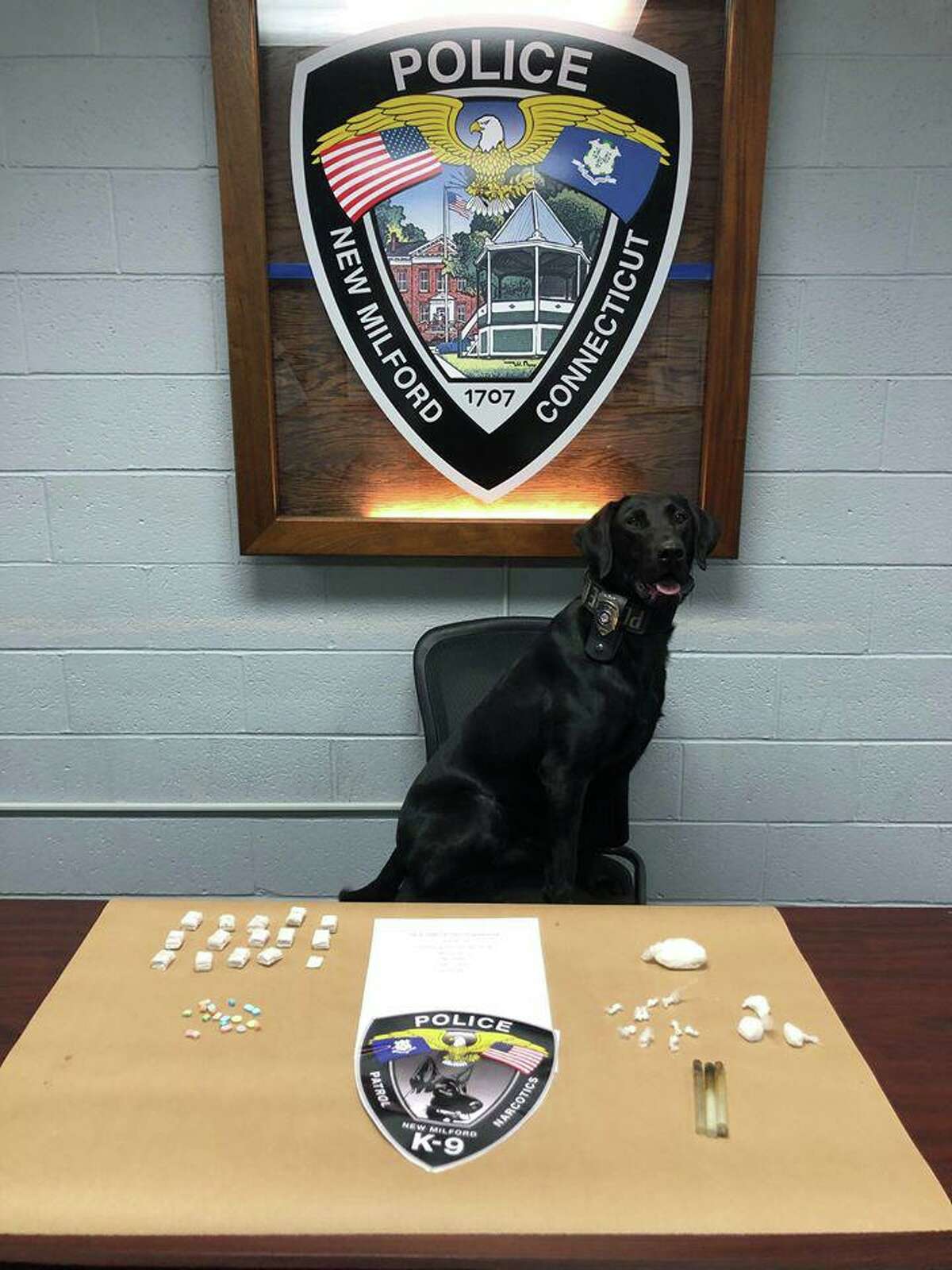 PD New Milford police dog finds heroin, cocaine, ecstasy pills
