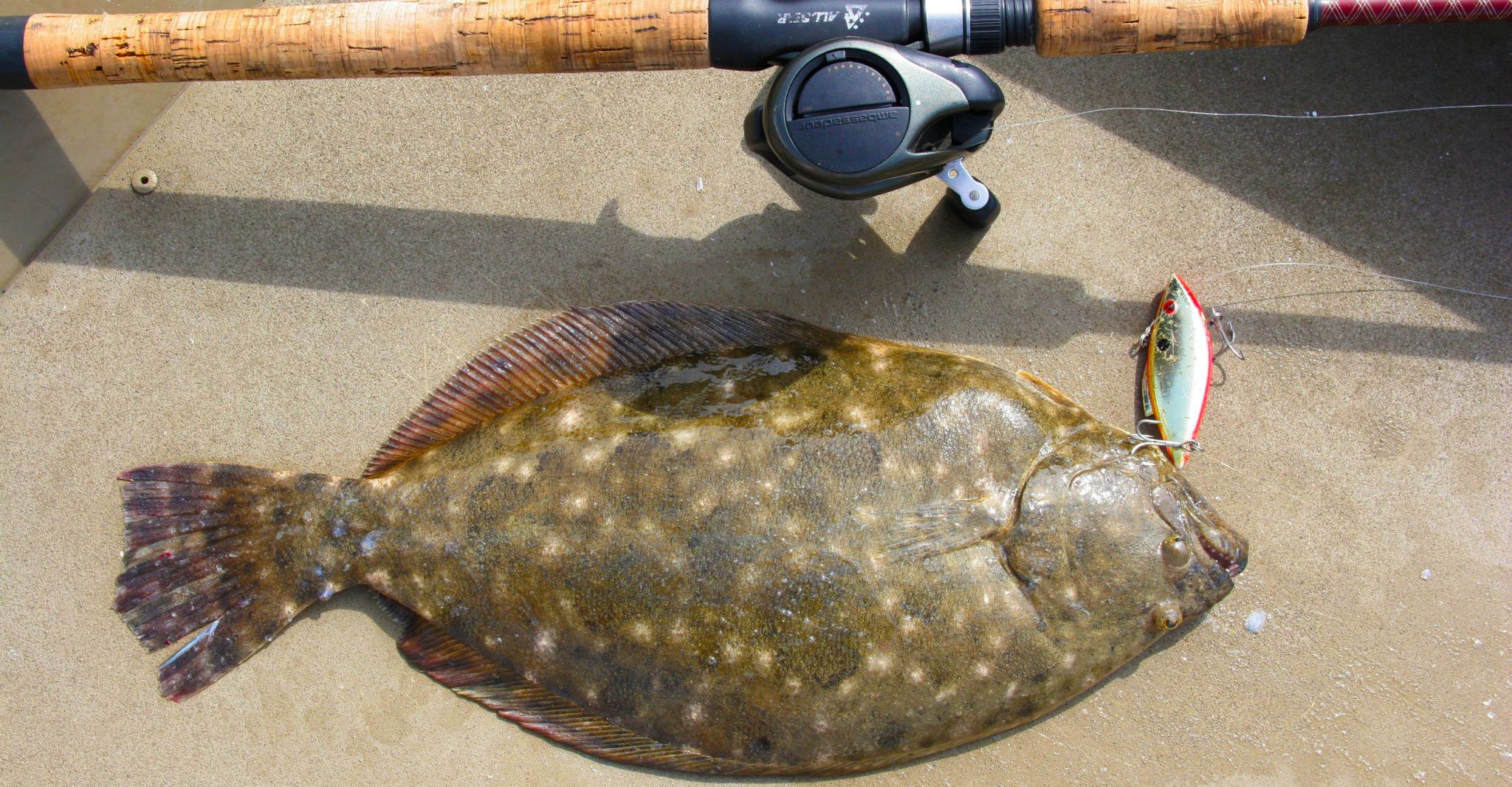 Texas flounder regulations approved, closure delayed a year