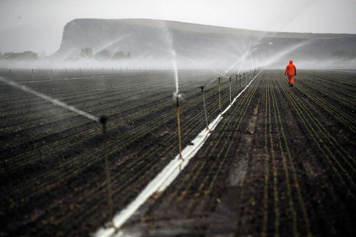 A farmworker working for Scott Seus out at dawn checking sprinkler operation on his farm in the Klamath Basin outside Tulelake, Calif., on Monday, May 18, 2020. Nowhere has California�s dry winter hit harder than the state�s far north, where hundreds of farmers along the Oregon border now risk having their irrigation water shut off and their crops destroyed. The Klamath Project, which ships water from the High Cascades to more than 200,000 acres of onions, potatoes, wheat and barley across two states, is running low. Water districts supplied by the project say there may not be water for farms after next month. The last time the water agencies of the Klamath Basin warned of such a dire situation, farmers marched on the gates of the project in protest and U.S. marshals were called in to keep the peace. Today, the prospect of running out of water comes as the farm-dependent region faces the additional economic blow of the coronavirus pandemic.
