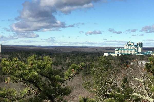 Wilderness Casino