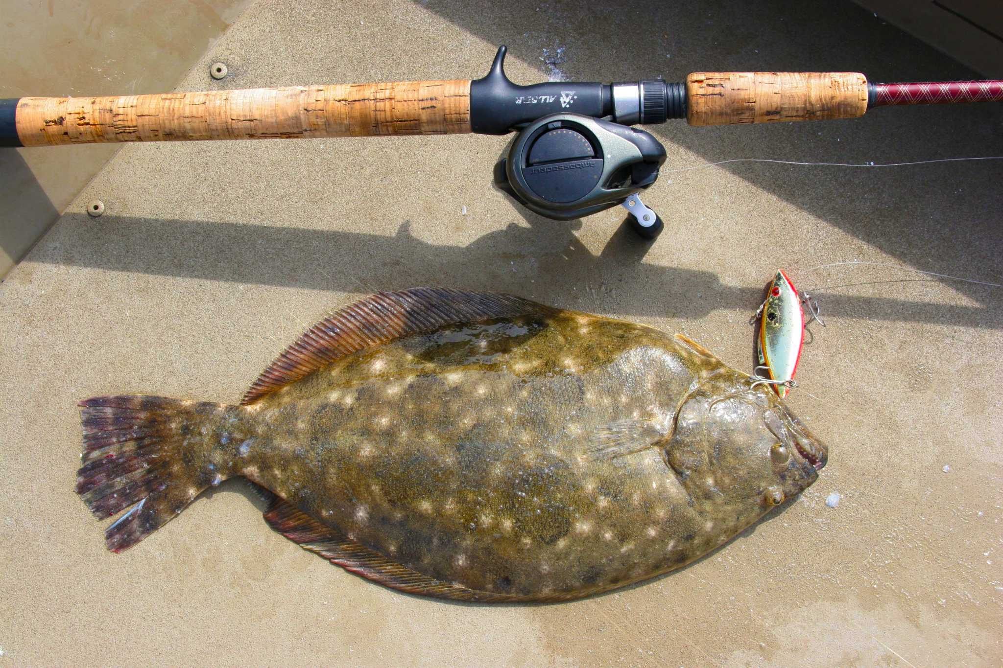 Texas flounder regulations approved; season closure delayed a year
