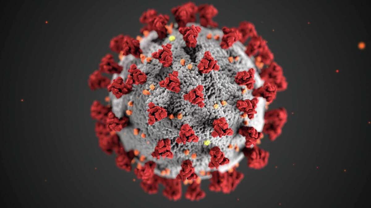 The coronavirus