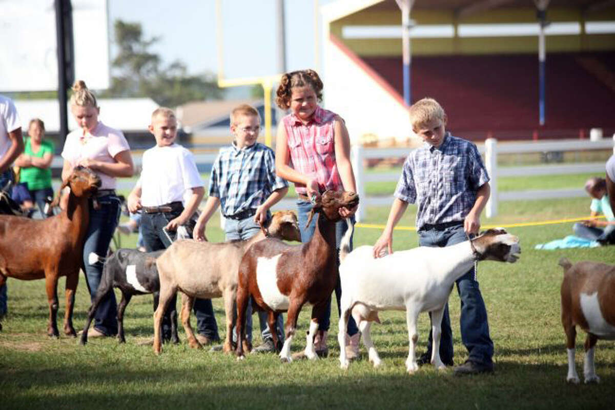 In this file photo, 4H'ers show their goats during last year's fair festivities. Events for this year have been cancelled due to the coronavirus.