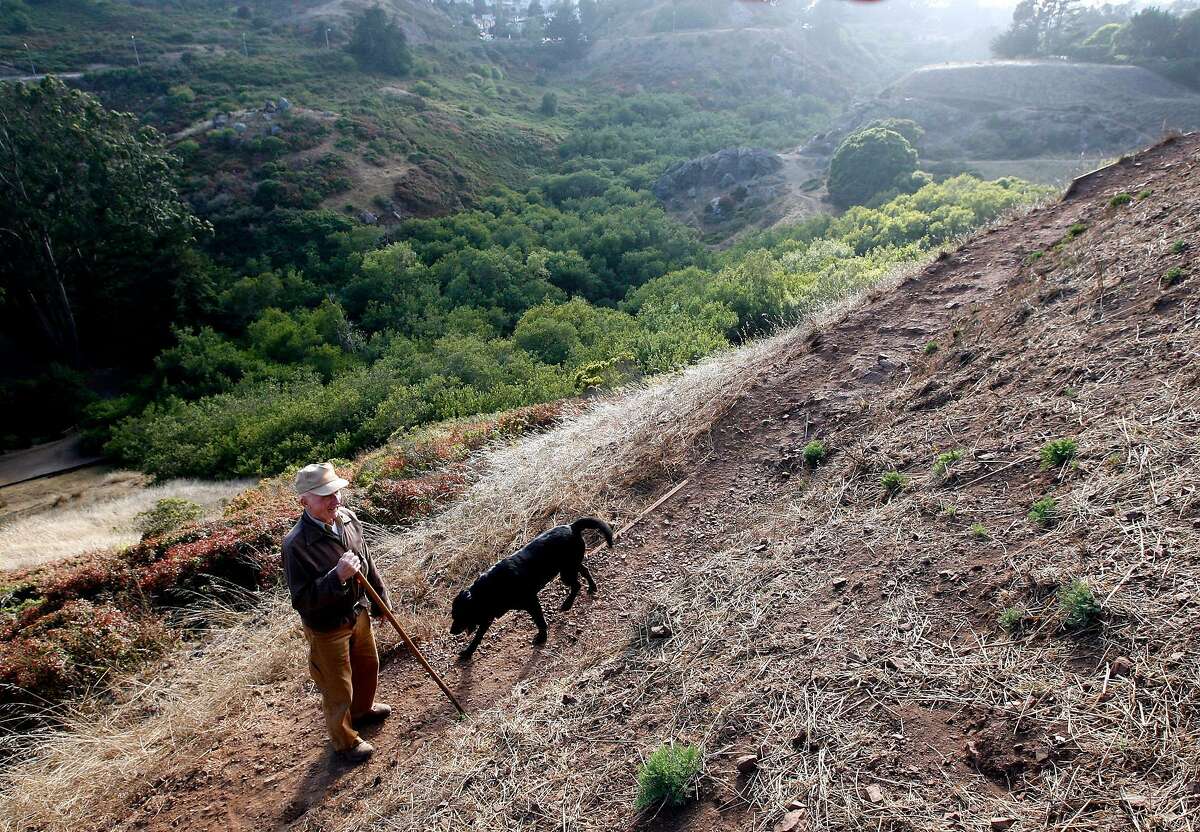 Leo Hainzl and his dog, Fritz, in Glen Canyon , in San Francisco, Calif. Sunday, Aug. 3, 2008.