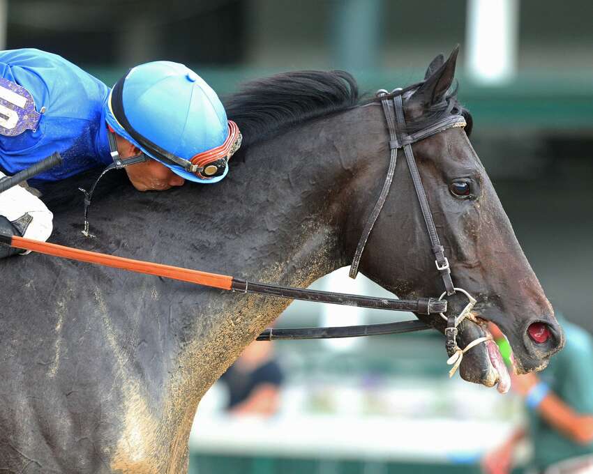 Jockey Jose Ortiz kisses Maxfield's neck after they won the Grade III Matt Winn at Churchill Downs. (Courtesy of Churchill Downs)