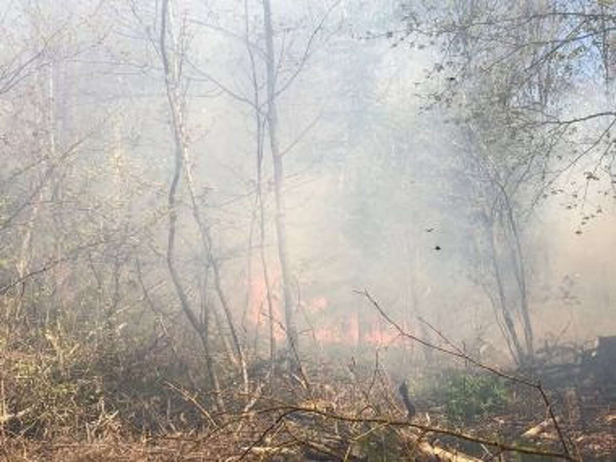 Burning brush caused by a May 18 fire in St. Lawrence County.