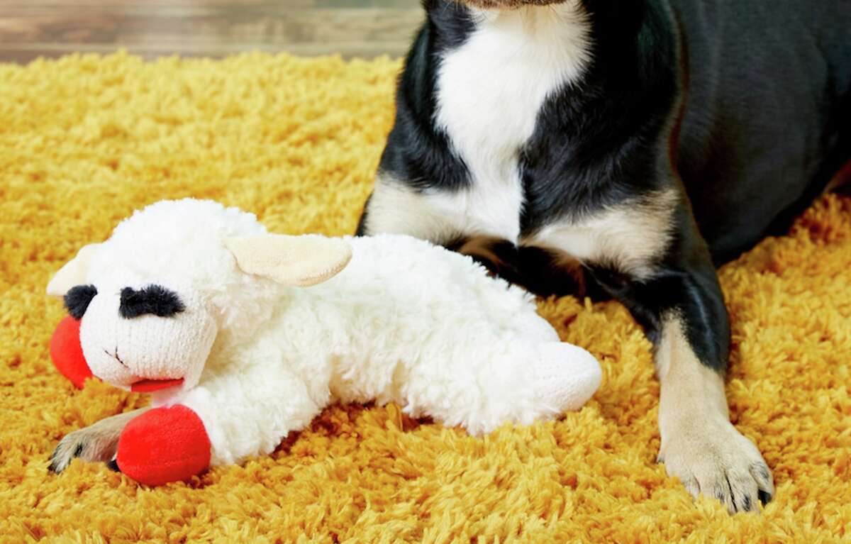 Multipet Lamb Chop Squeaky Plush Dog Toy Price: $5.72 If your dog loves soft toys and won't rip through them in seconds, this Lamb Chop toy will be a cute addition to their toy collection.