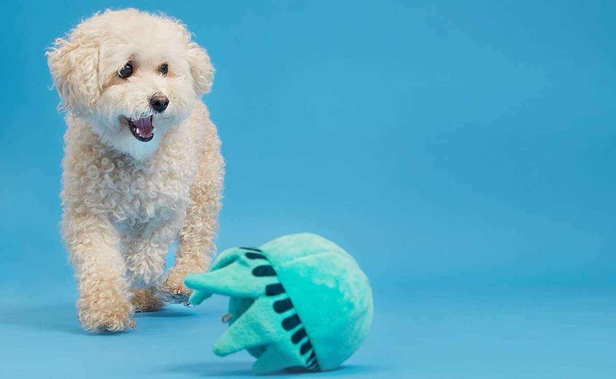 Easy play dog outlet toy