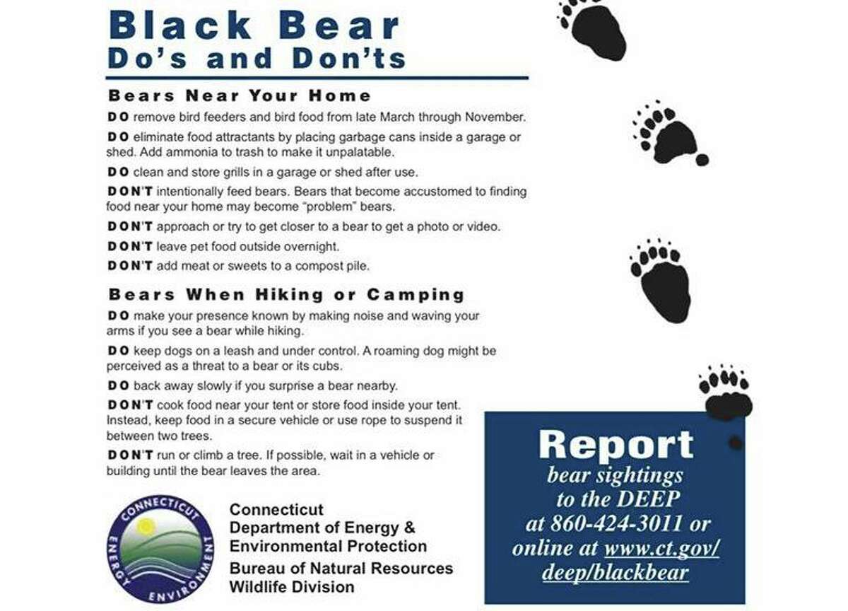 Police Multiple reports of bear sightings in Orange