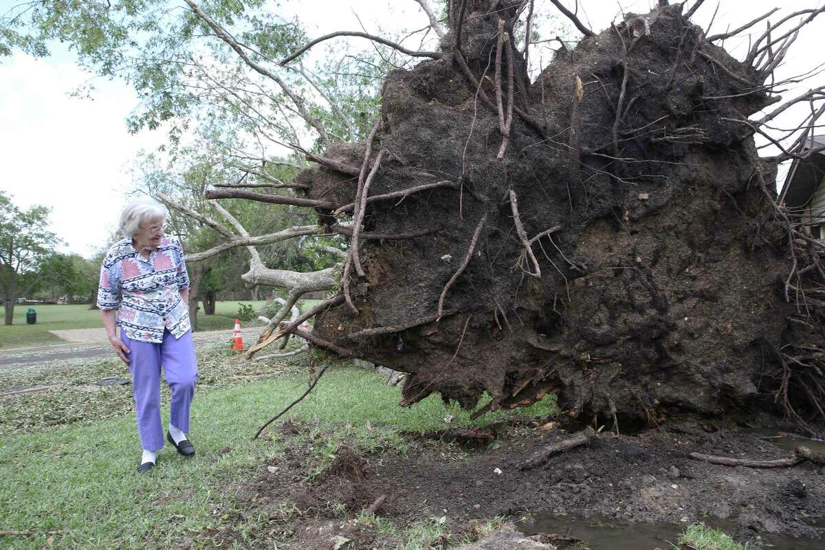 Inge Chambliss studies the uprooted oak tree in her front yard after storm damage in Kerrville on May 28, 2020. The tree luckily fell way from the 93 year old's house and out into Crestwood street.