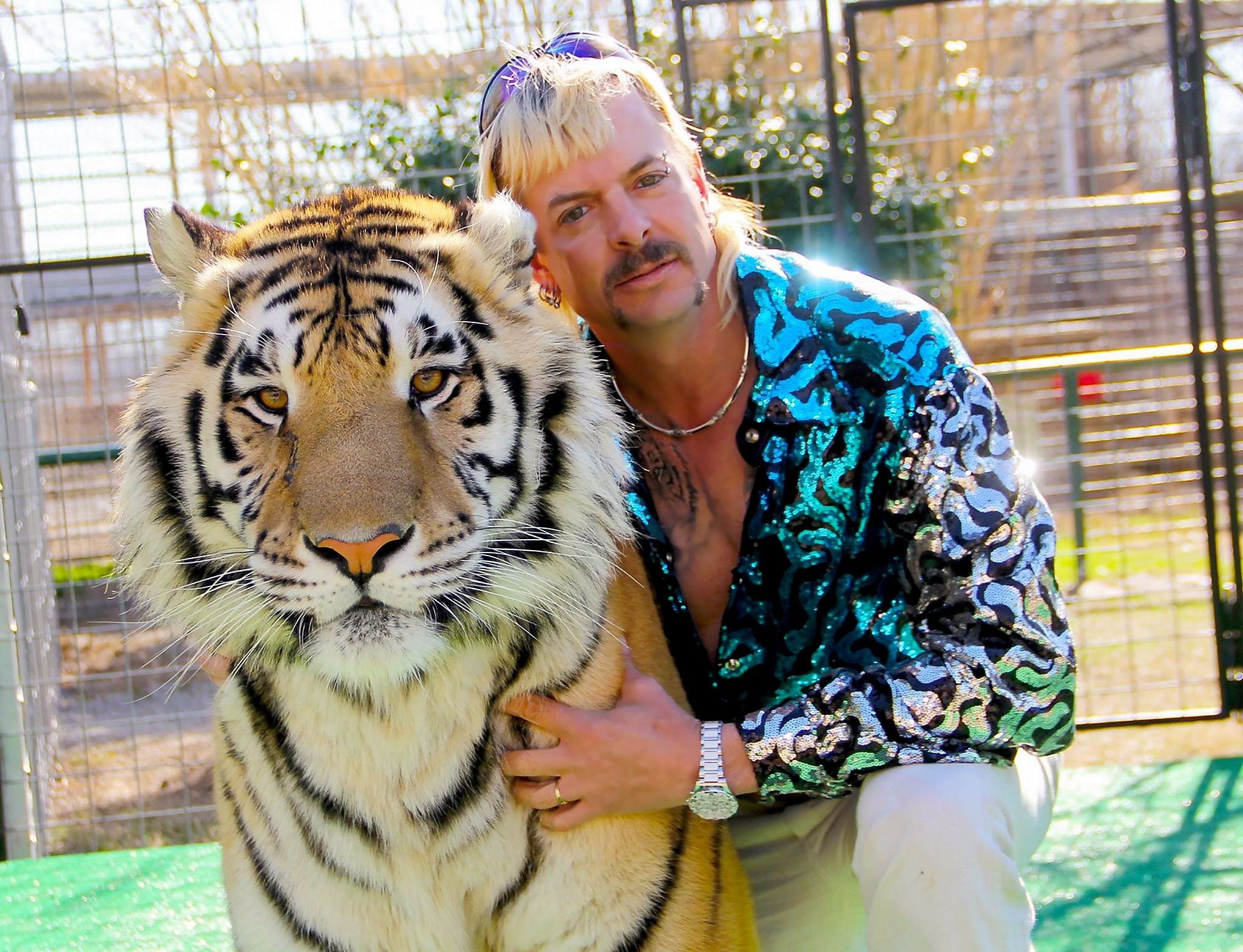 Carole Baskin Did It T-Shirt Funny Joe Exotic The Tiger King Cat Rescue Show Top 