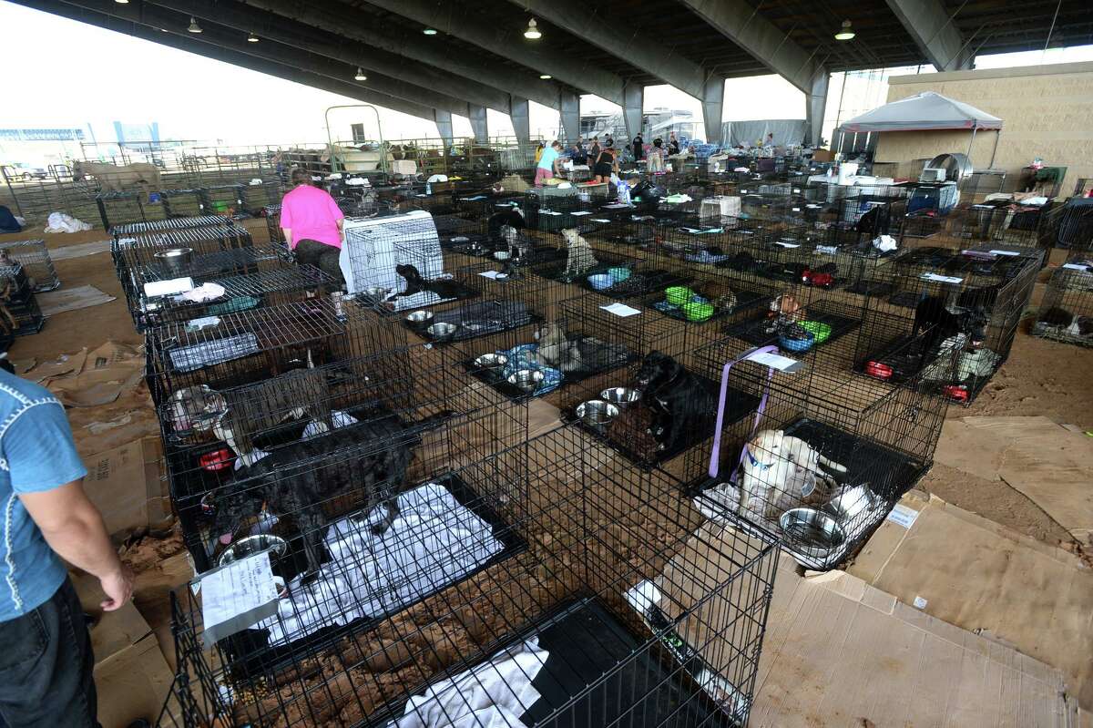 Ford Park's temporary animal shelter in Beaumont. The shelter is taking in animals displaced from Hurricane Harvey and handing out animal food. Photo taken Saturday, September 02, 2017 Guiseppe Barranco/The Enterprise